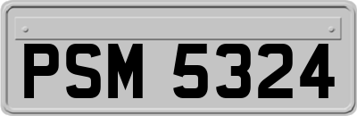PSM5324