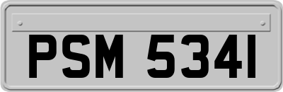 PSM5341