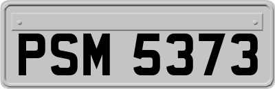 PSM5373