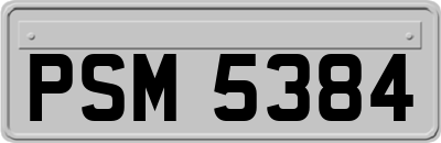 PSM5384