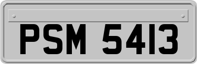 PSM5413