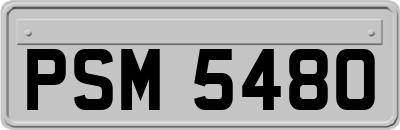 PSM5480