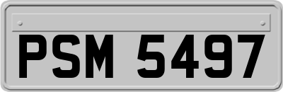 PSM5497