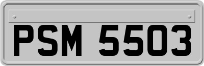 PSM5503