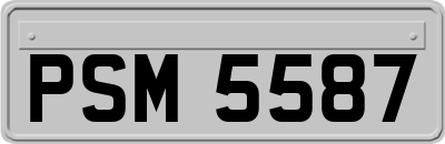 PSM5587
