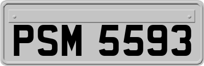 PSM5593