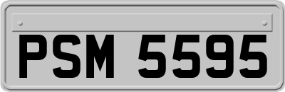PSM5595