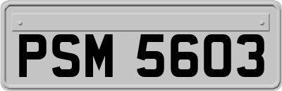 PSM5603