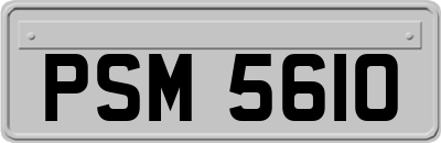PSM5610