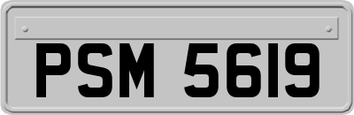 PSM5619