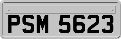 PSM5623