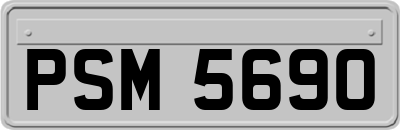 PSM5690