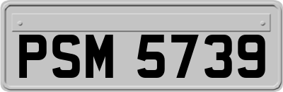 PSM5739