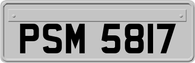 PSM5817