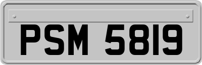 PSM5819