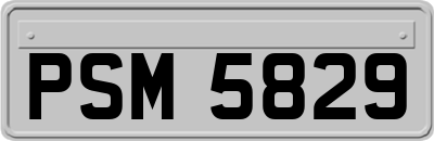 PSM5829