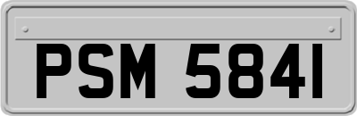 PSM5841