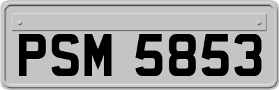 PSM5853