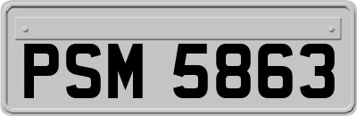 PSM5863