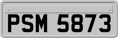 PSM5873