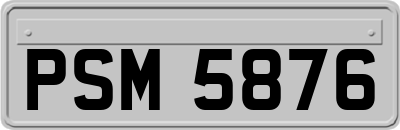PSM5876
