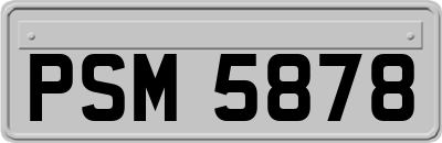 PSM5878