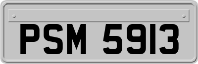 PSM5913