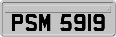 PSM5919