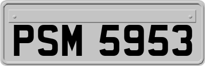 PSM5953