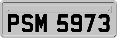 PSM5973