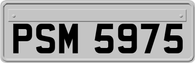 PSM5975