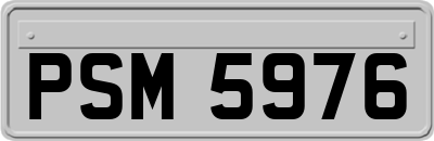 PSM5976
