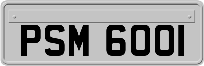 PSM6001