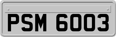 PSM6003