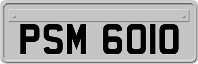 PSM6010