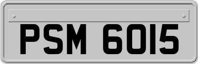 PSM6015