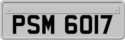 PSM6017