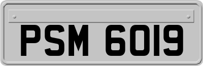 PSM6019