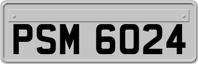 PSM6024