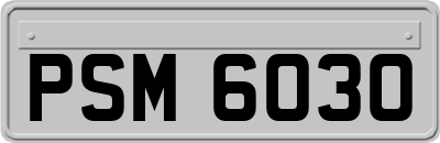 PSM6030