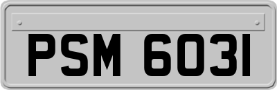 PSM6031
