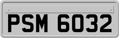 PSM6032