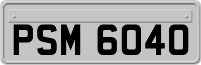 PSM6040