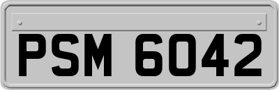 PSM6042