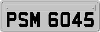 PSM6045