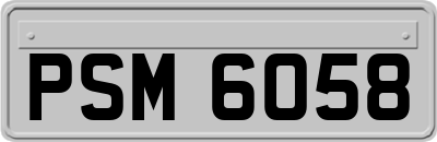 PSM6058