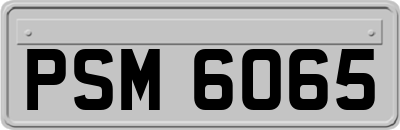 PSM6065