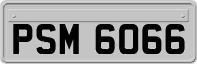 PSM6066