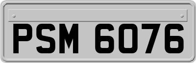 PSM6076