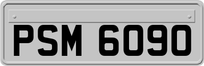 PSM6090